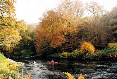 Canoeists on the River Dart, near Spitchwick